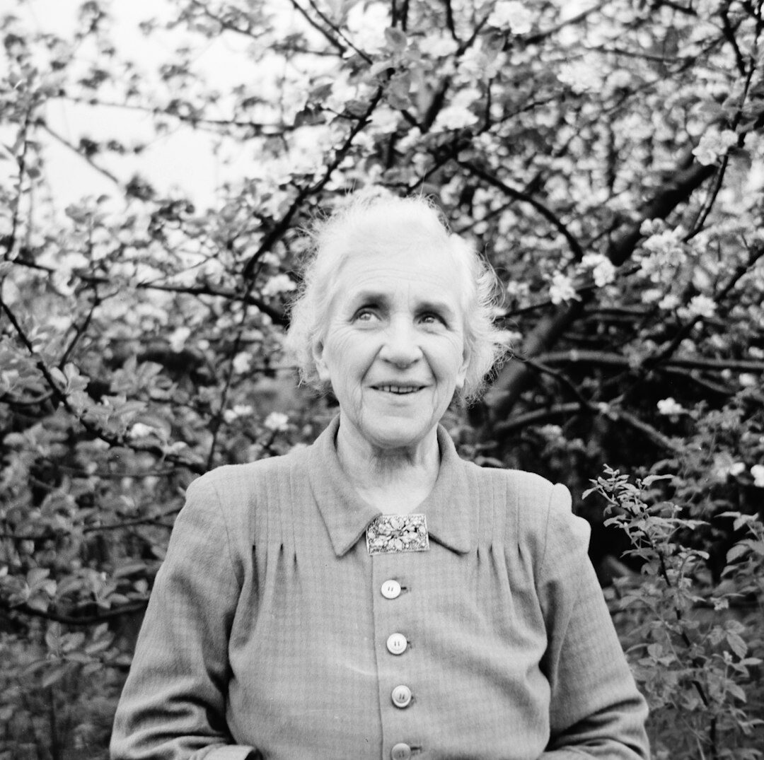 Studio portrait of a smiling senior woman